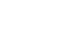 L1